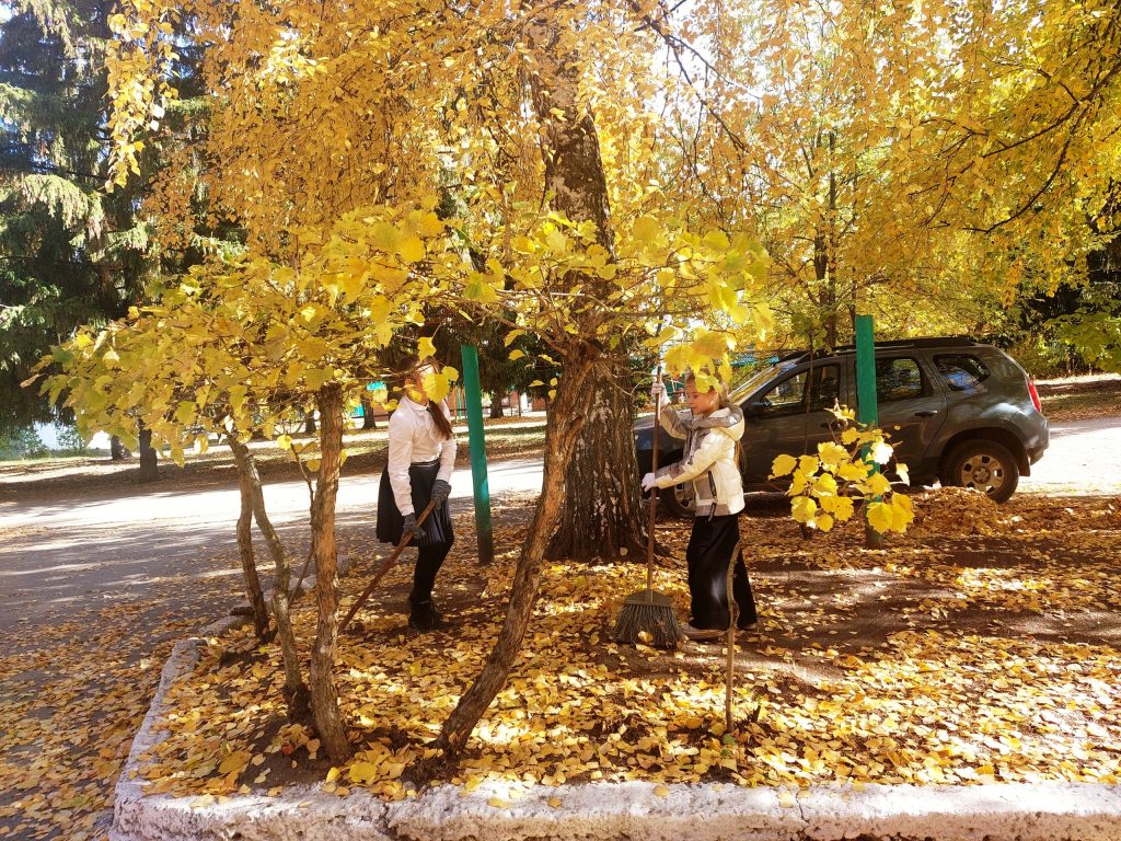 Акция «Трудовой десант»