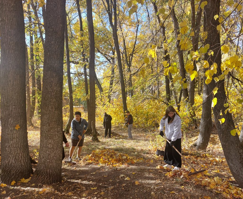 Акция «Трудовой десант»