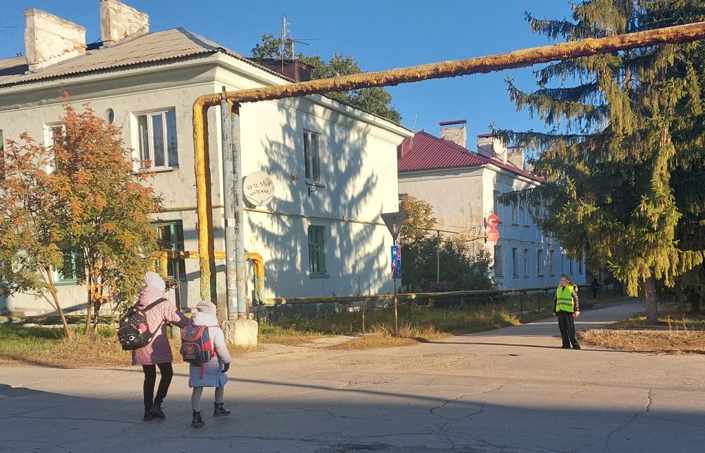 Работа по профилактике детского дорожно-транспортного травматизма