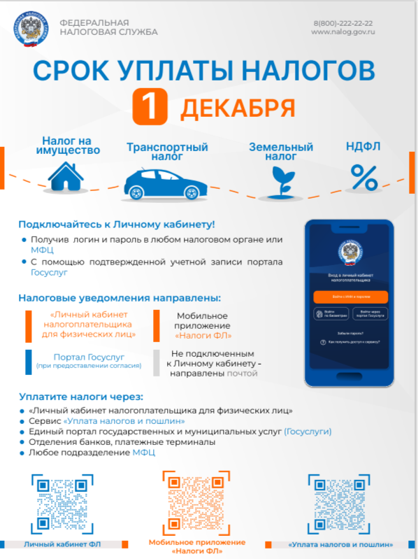1 декабря - срок уплаты налогов