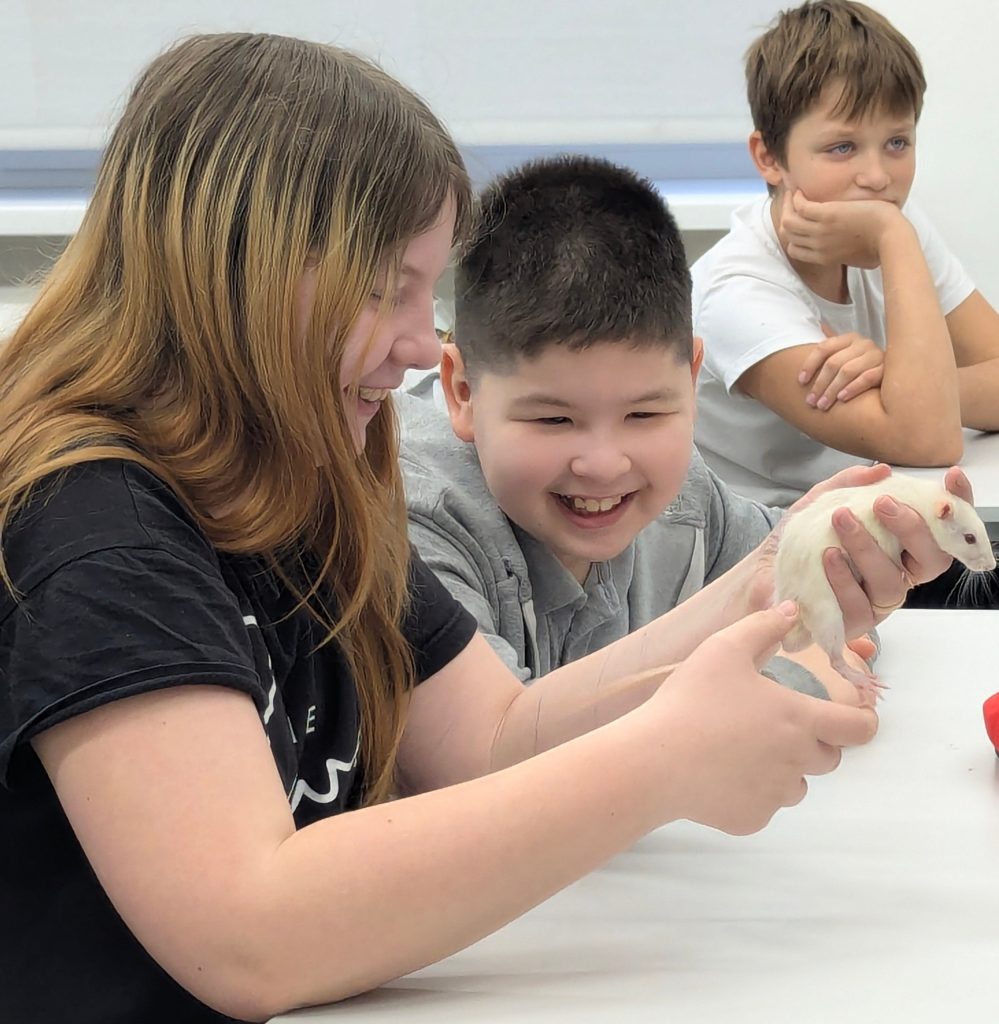 "Разговоры о важном"