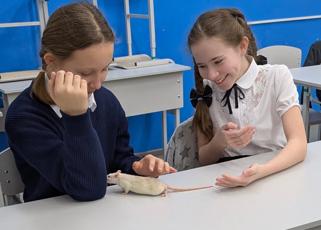 "Разговоры о важном"